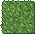 Grass Carpet